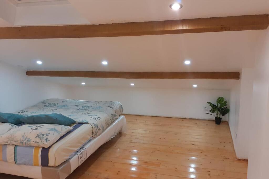 Appartement 1 Neuf Haut de gamme dans quartier chic Pibrac Extérieur photo